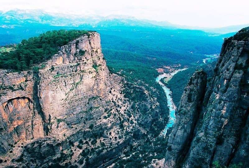 Vertical photo