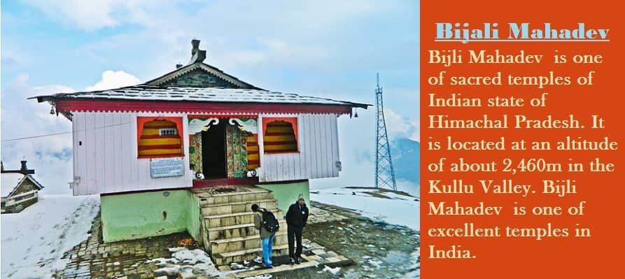 The Uphill Forest Trek