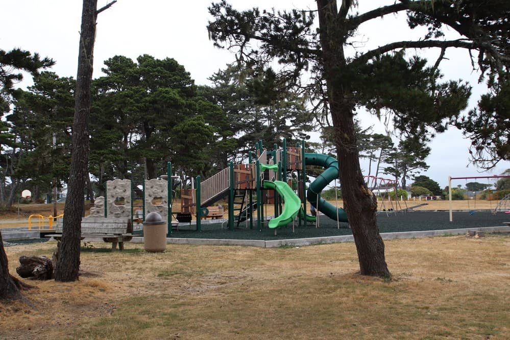 Dog Park