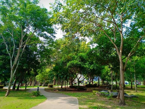 Laser Carving Technology