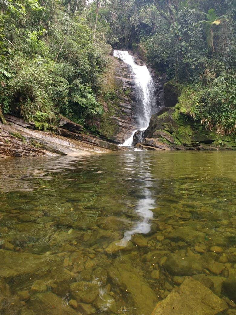 Natural Pool