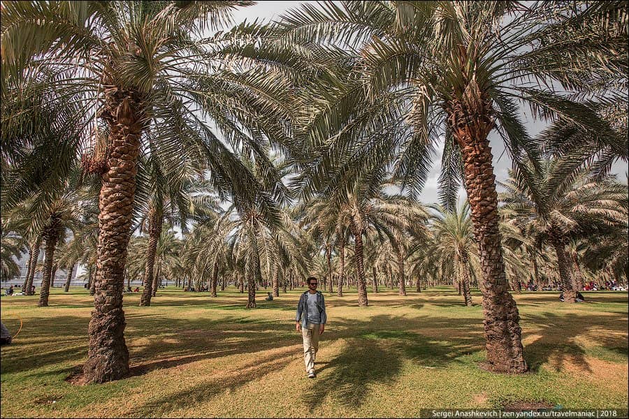 Lush Landscaped Gardens