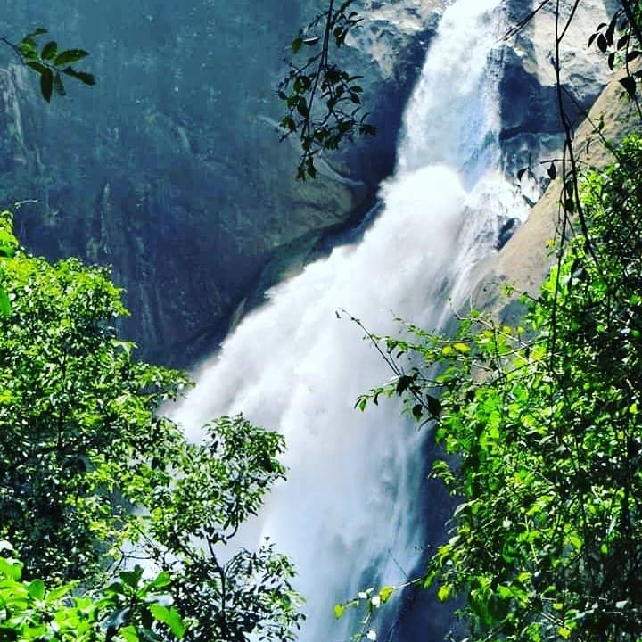 Scenic Trek Through Nature