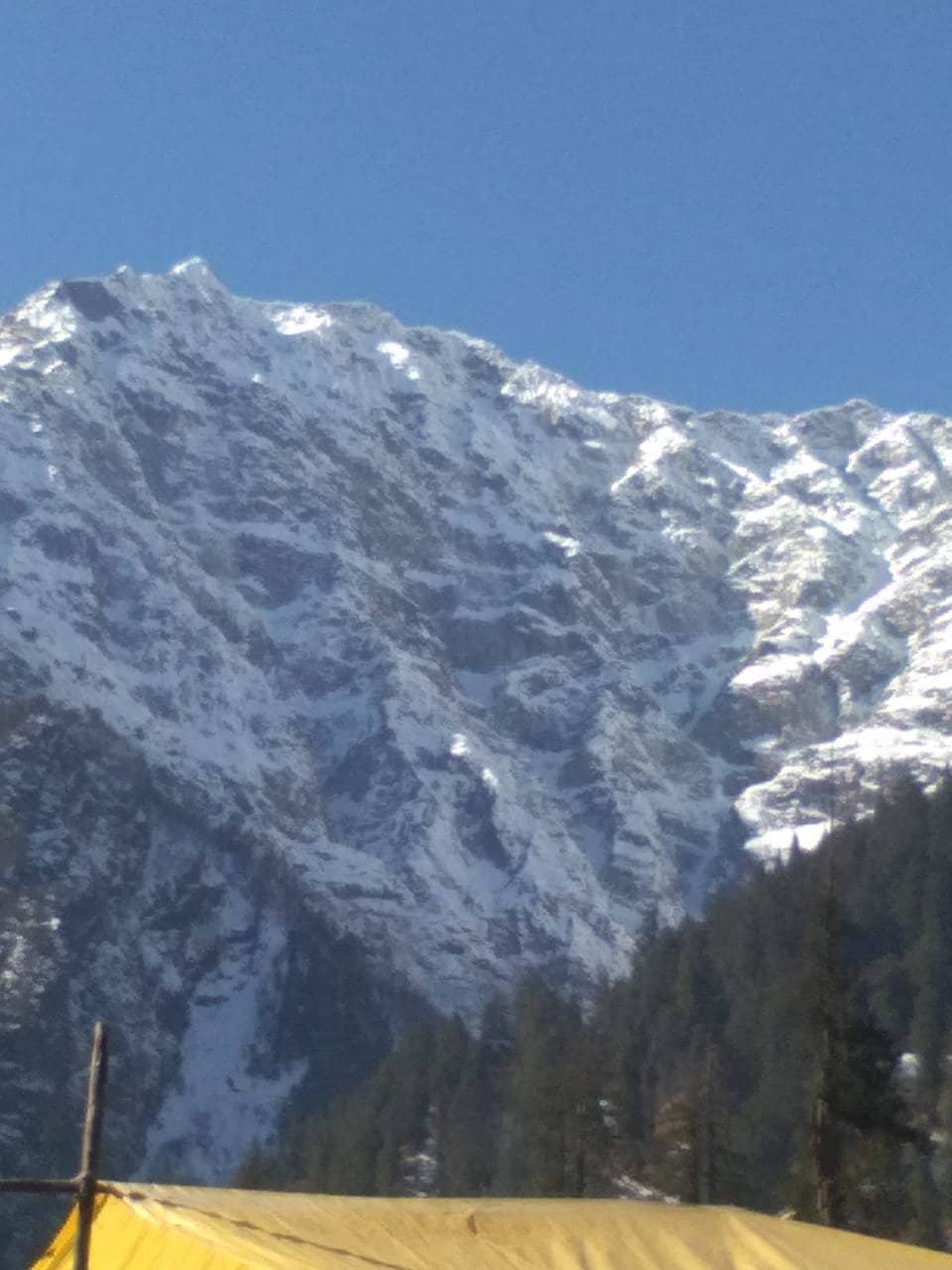 Tranquil Nature Escape