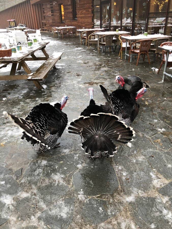 Educational Exhibits