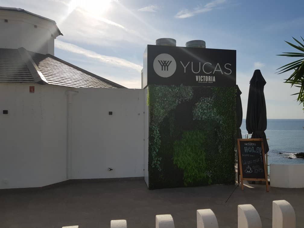 Rocky Underwater Landscape