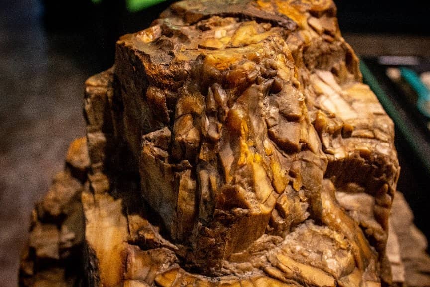 Interactive Learning