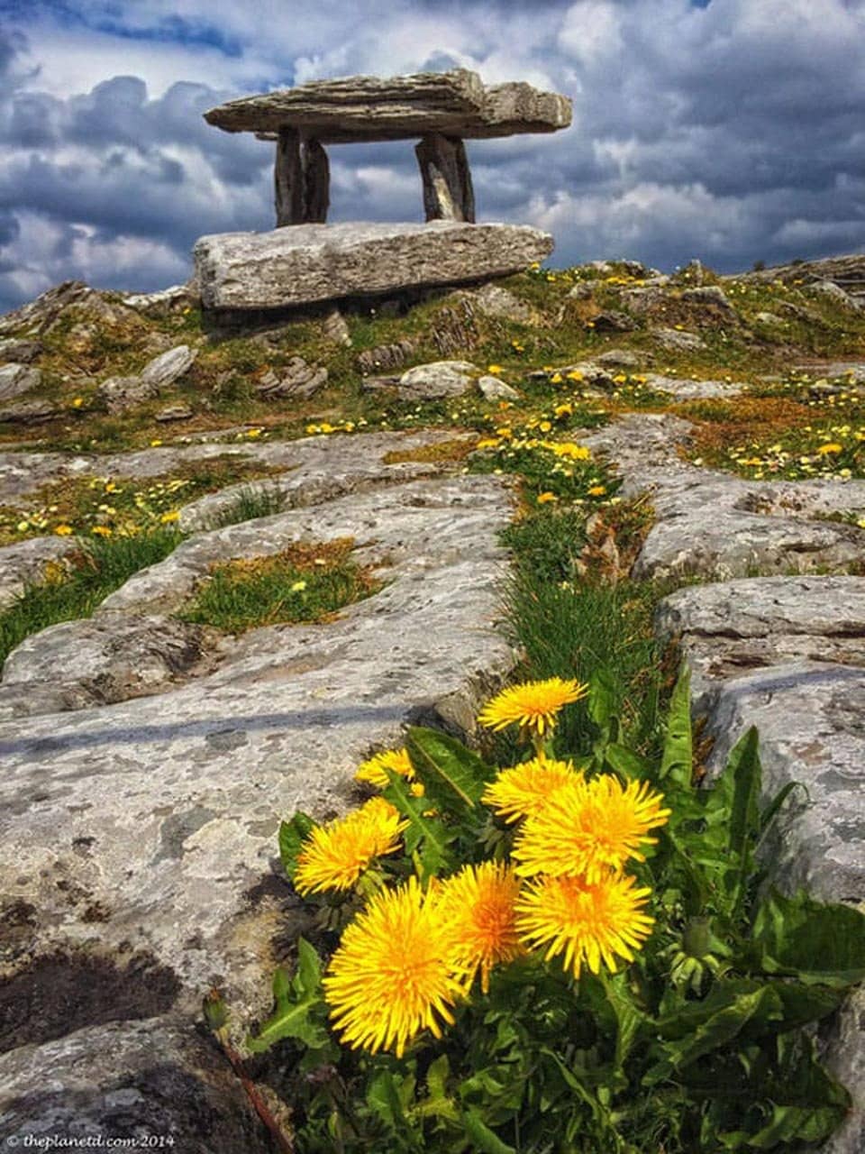 Vertical photo