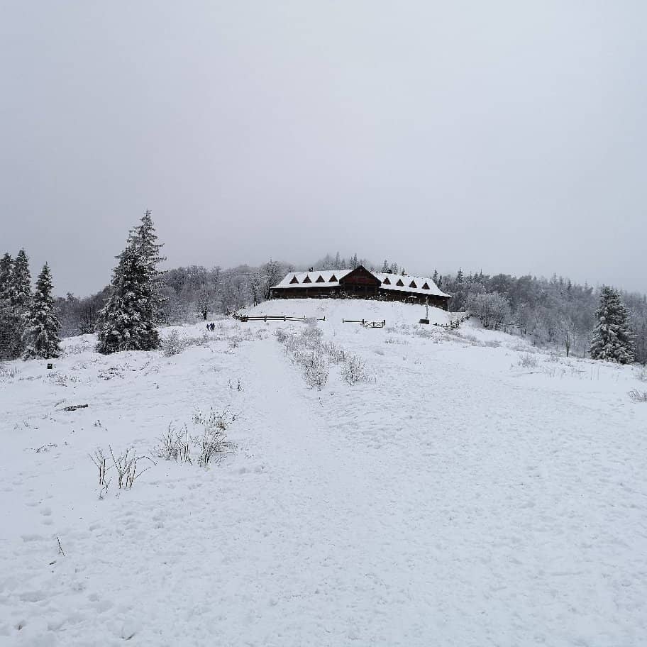 Arcade & Skill Games