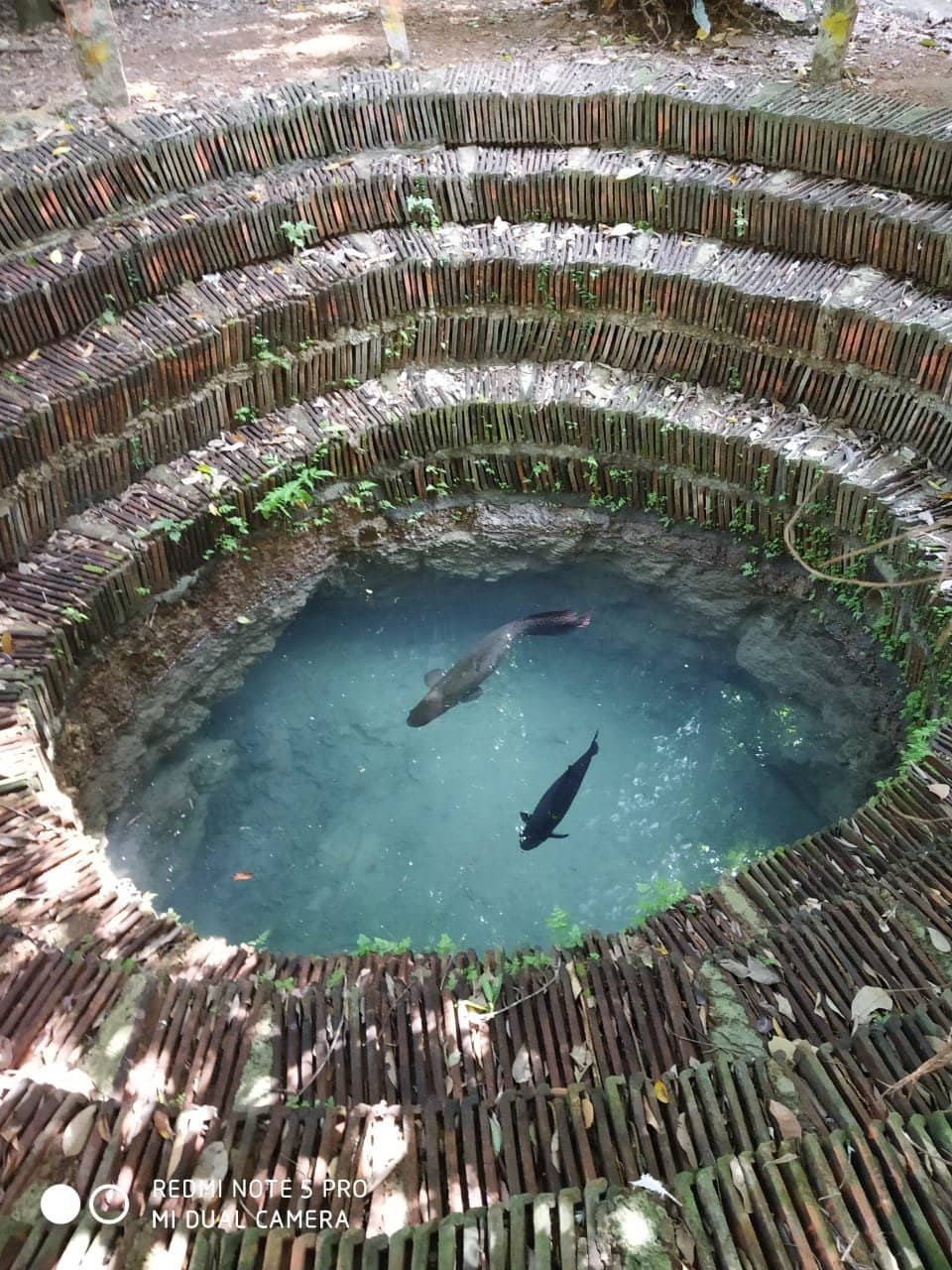 Cultural & Historical Exhibits