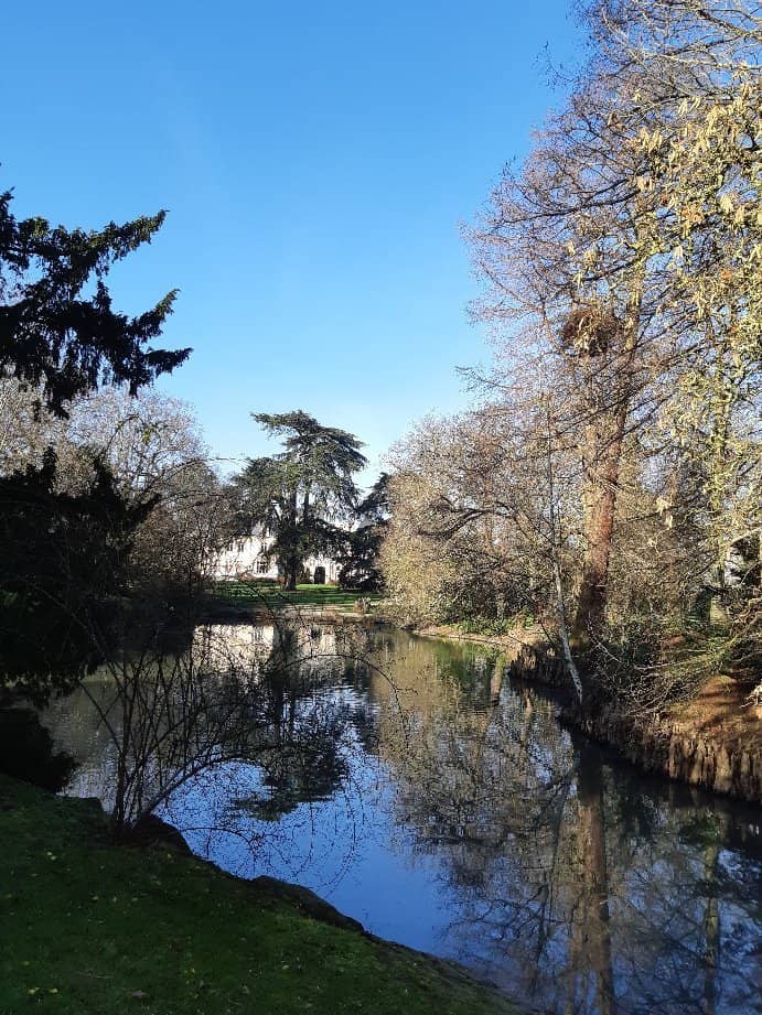Duck Pond Serenity