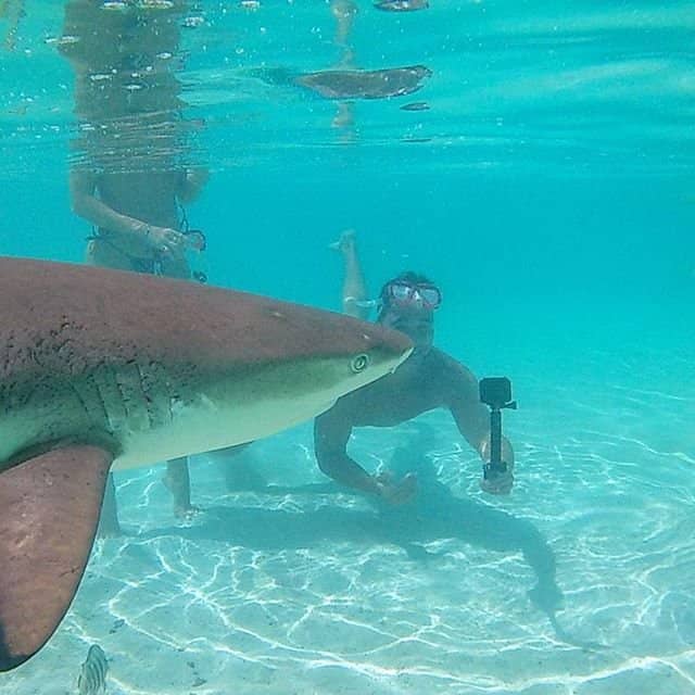 Cook's Bay & Opunohu Bay