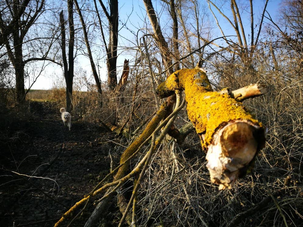 Cycling Through Nature