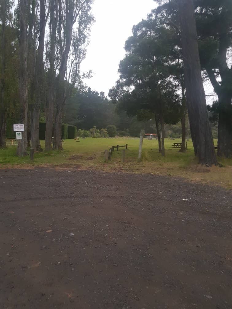 Scenic Walking Paths