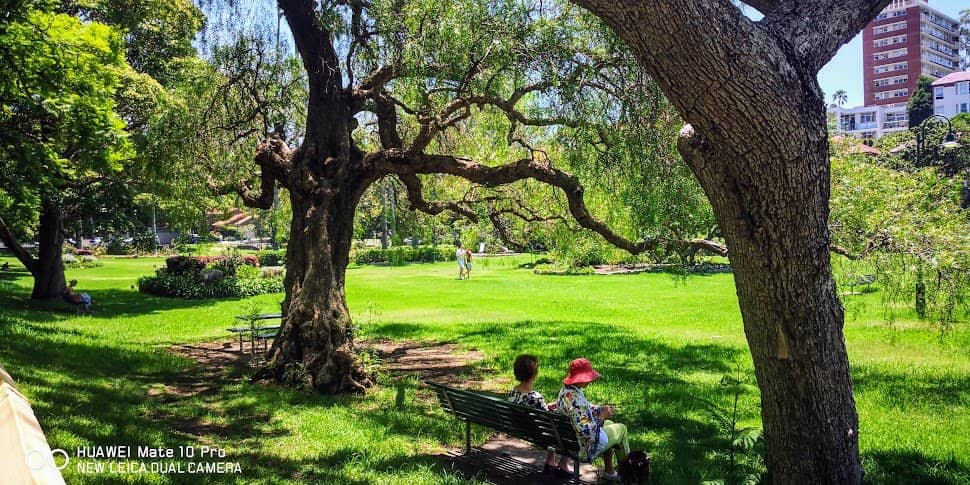 Sydney Harbour Bridge Views