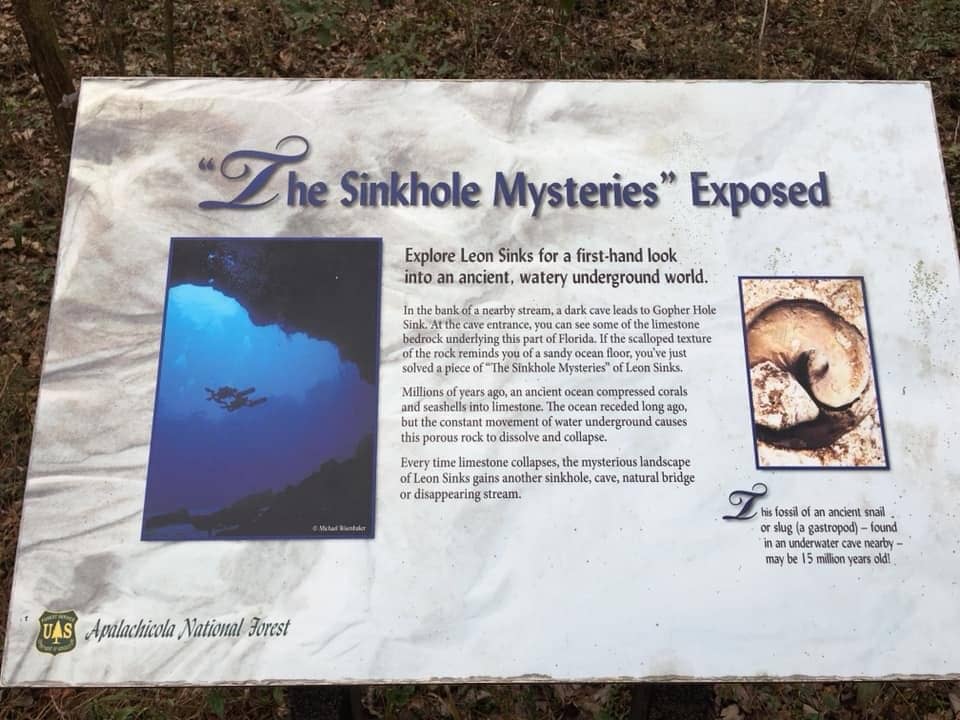 Swamp Walk