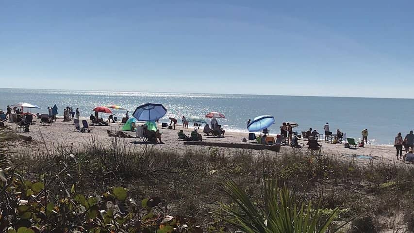 Shelling Paradise