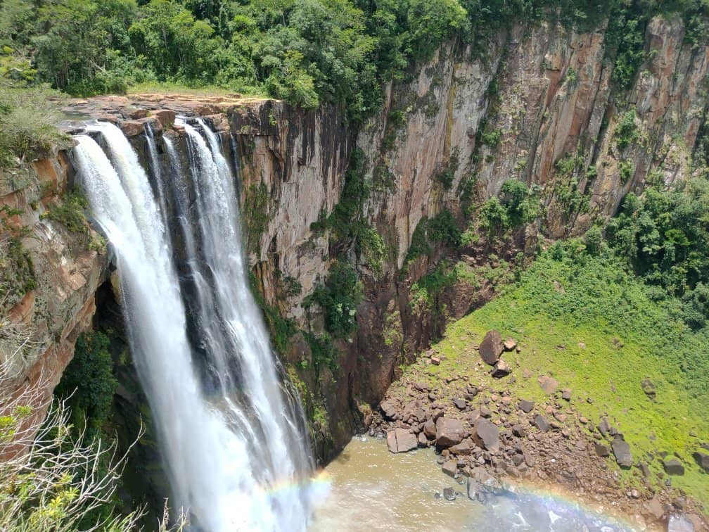 Vertical photo