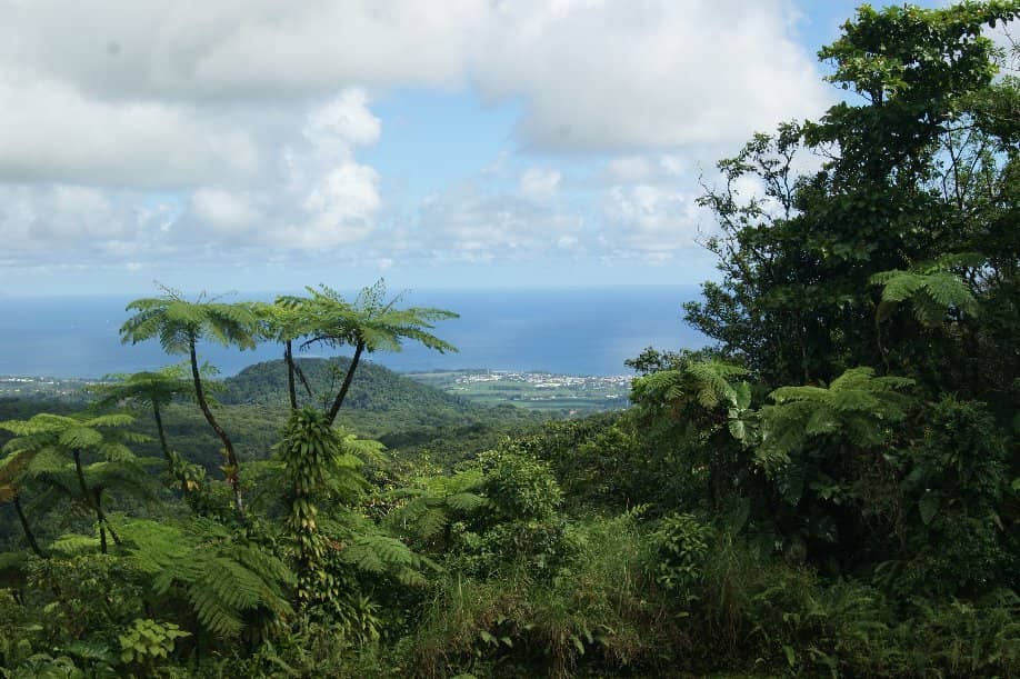 Panoramic Views from the Third Fall