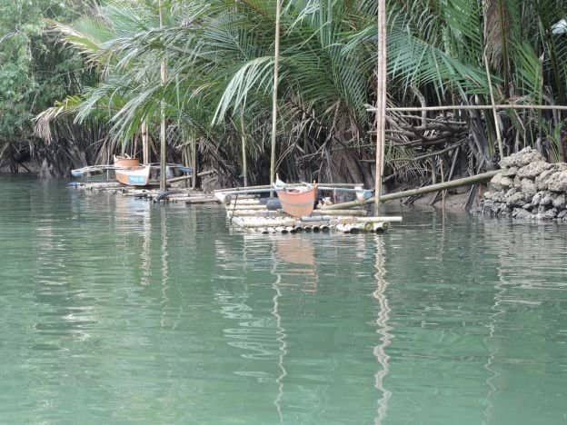 Local Community Performance