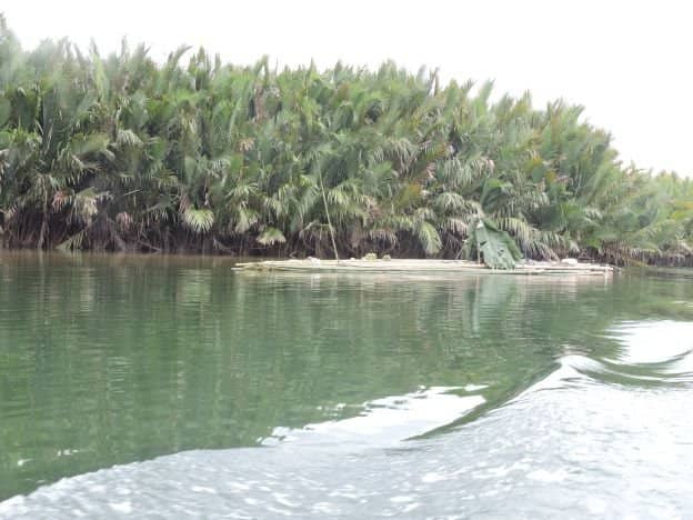 Kayaking Through Mangroves
