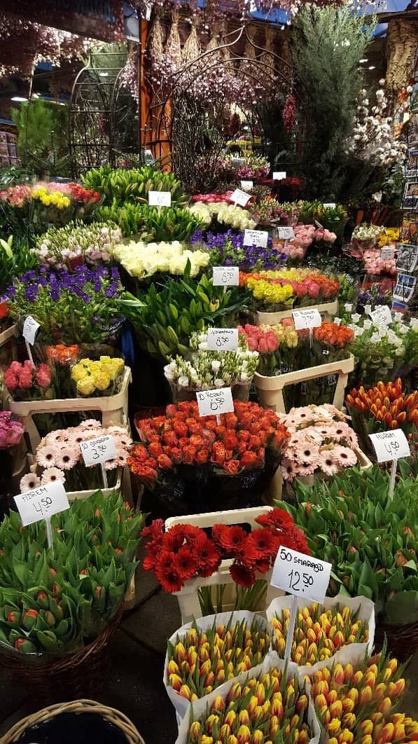 Explosion of Color