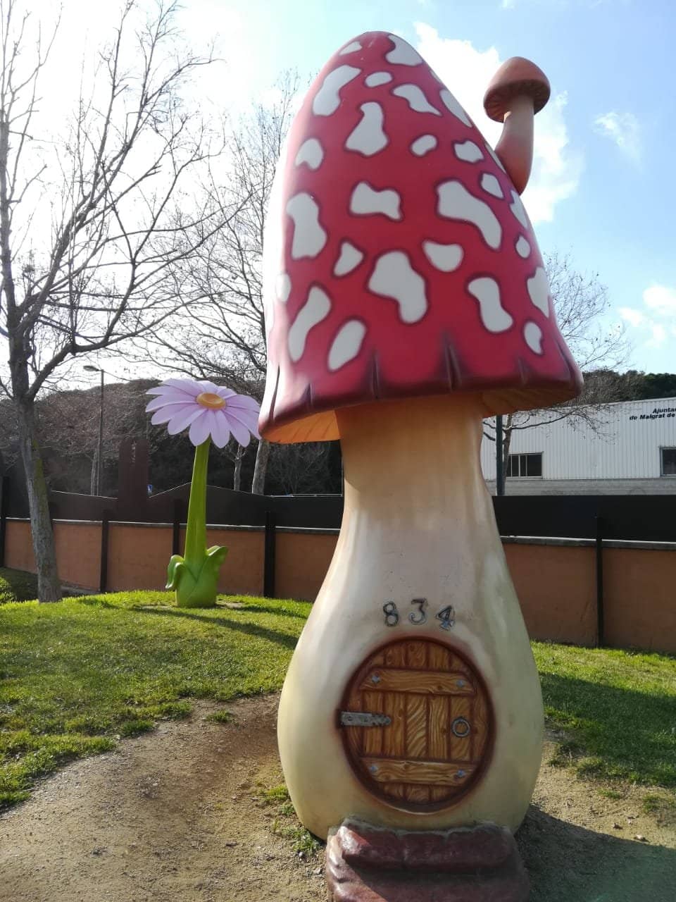 Skatepark & Sports Courts