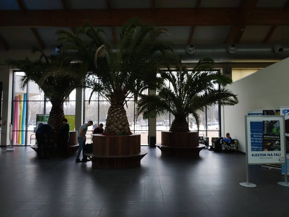 Towering Water Slides