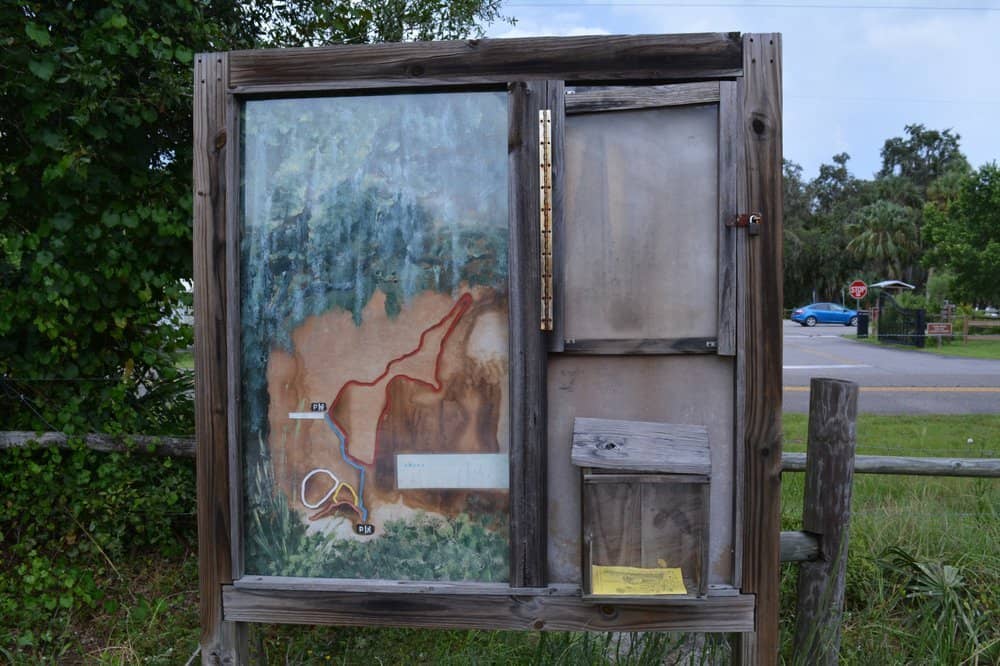 Wildlife Observation