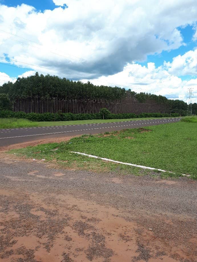 Scenic Walking and Cycling Paths