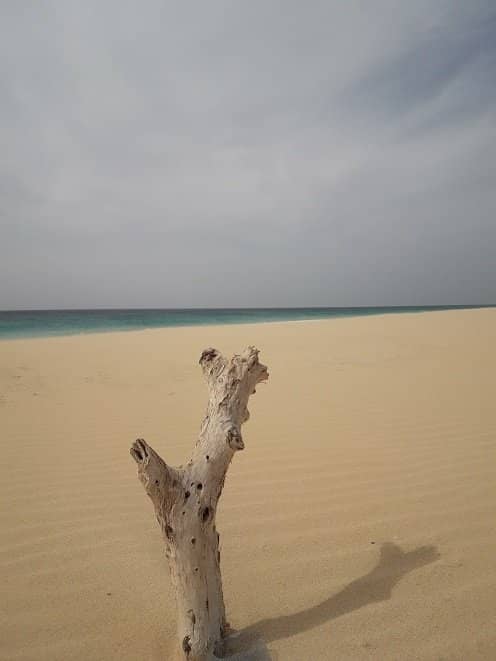 Wide Sandy Shores