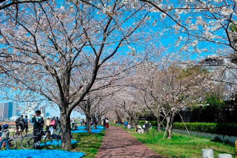 Haneda Airport Proximity