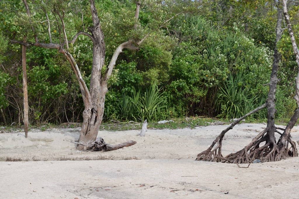 Sunset at Chidiya Tapu