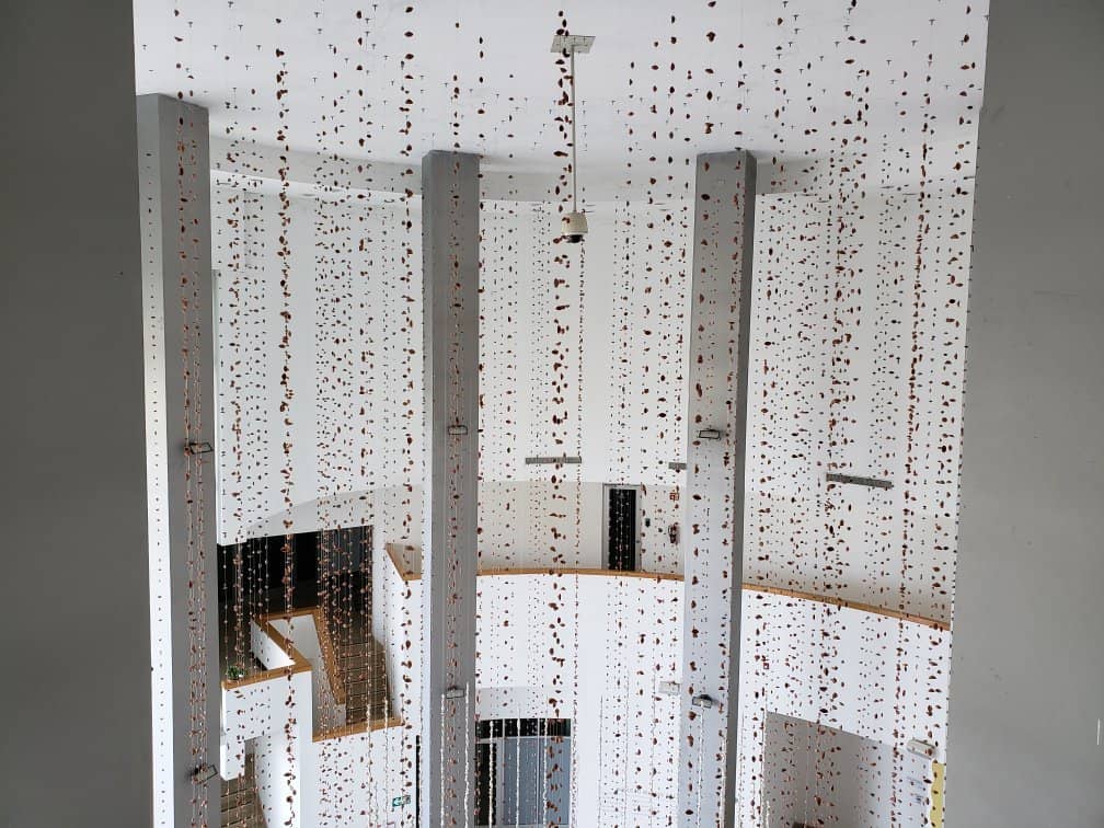 Mexican History Train