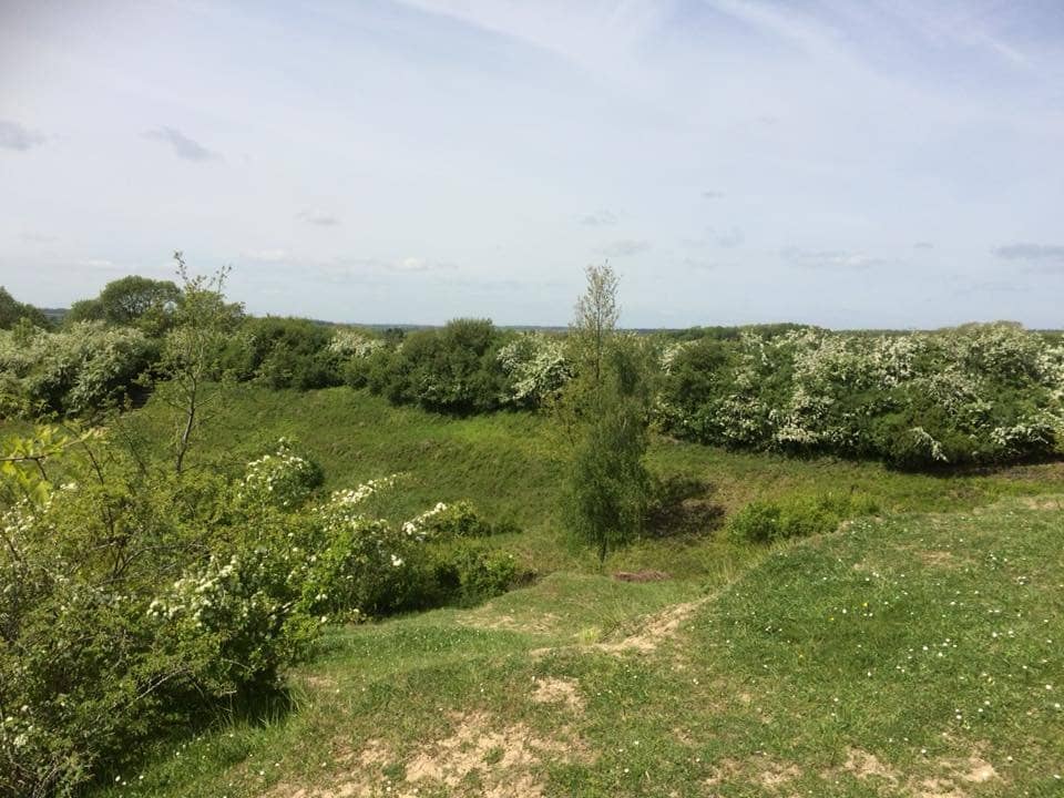 Easter Forest School