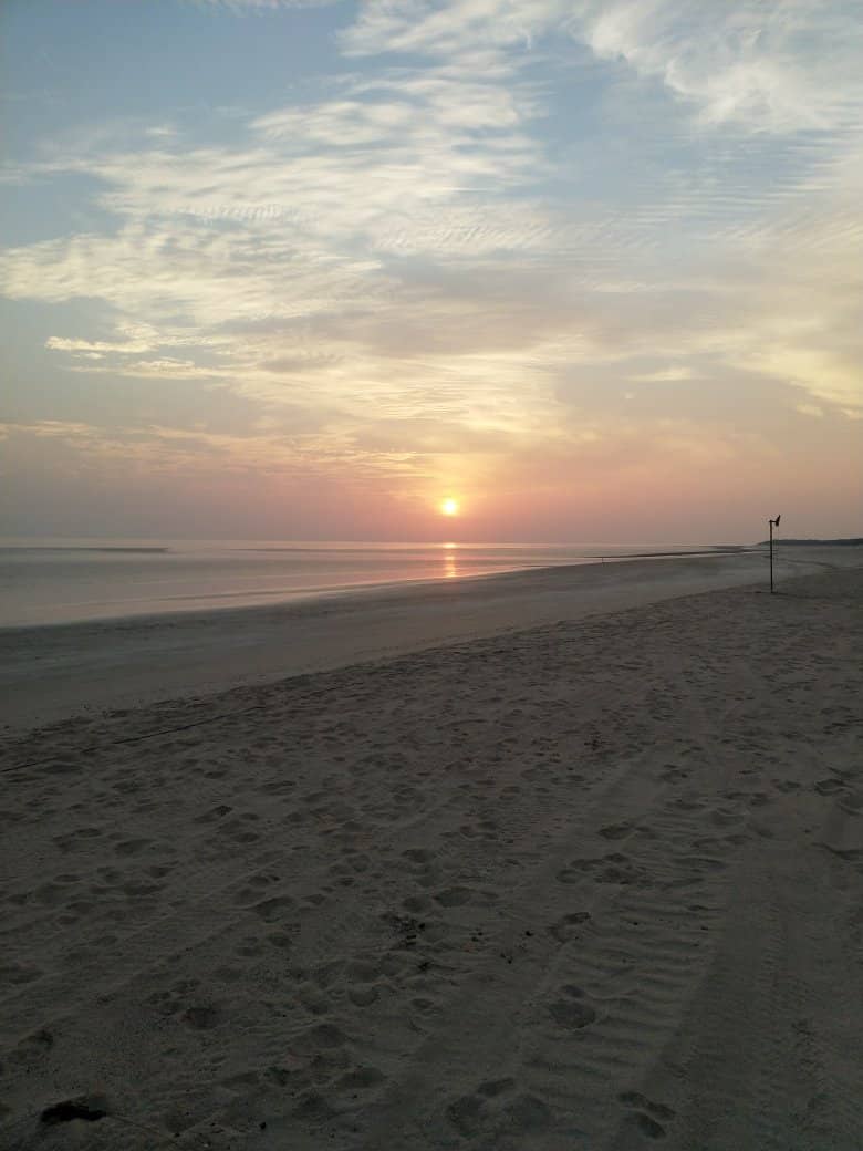 Camel and Horse Rides