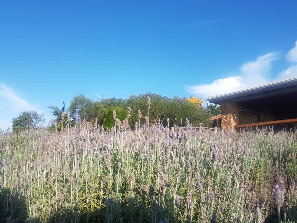 Panoramic Mountain Views