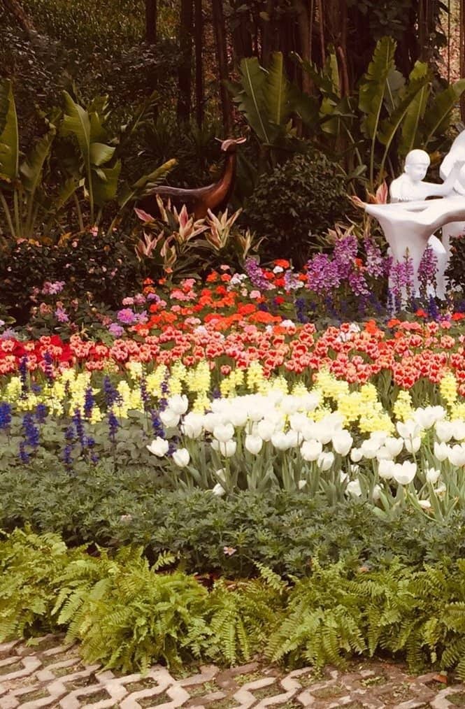 Rose Garden
