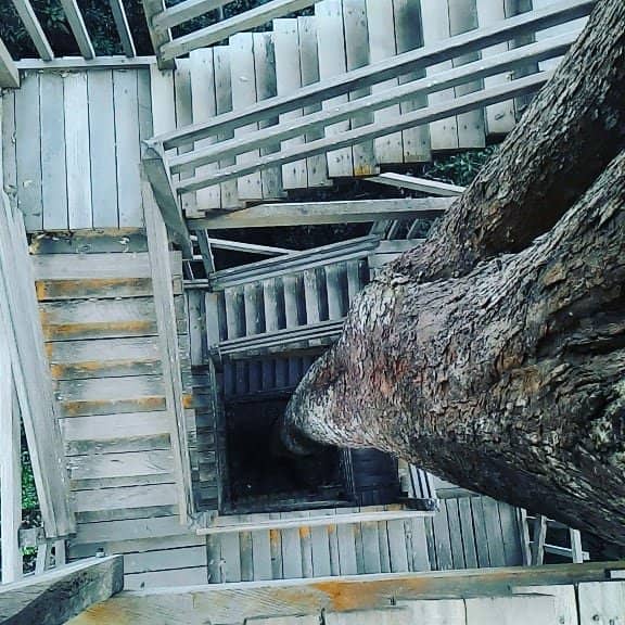 Rainforest Hiking Trails