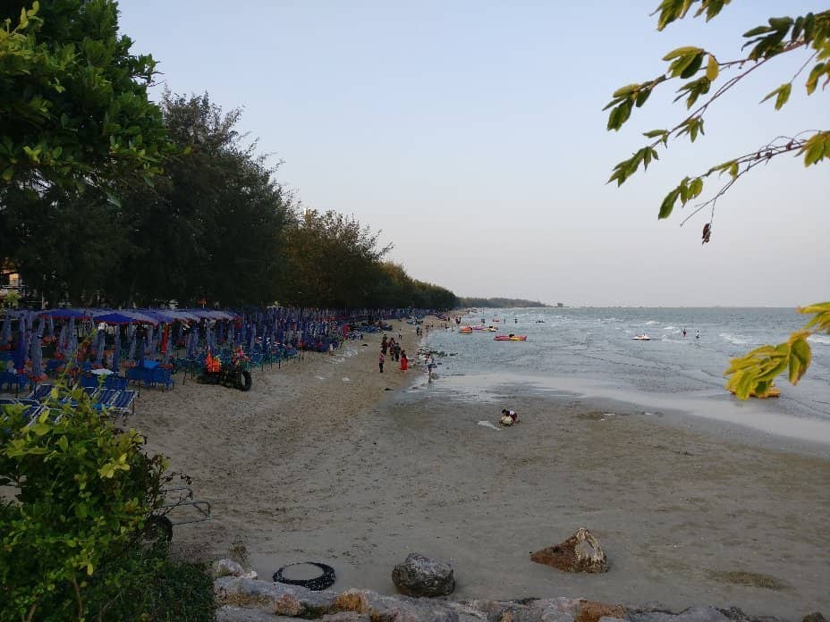 Horseback Riding Adventures