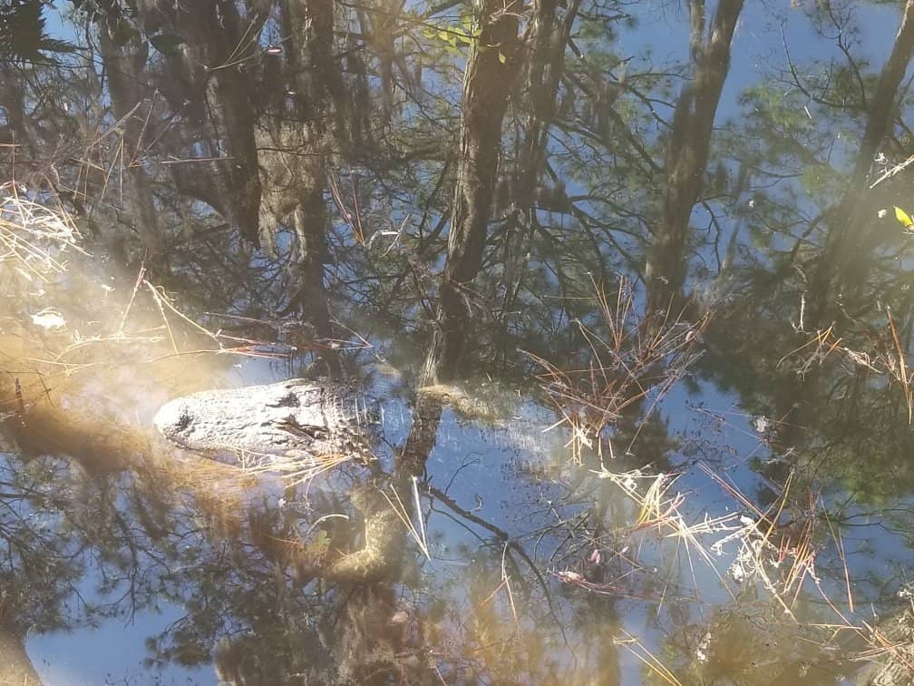 Train Exhibit & History
