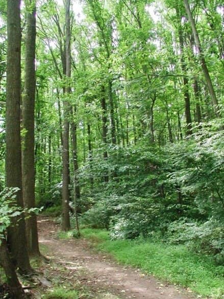 Well-Marked Hiking Trails