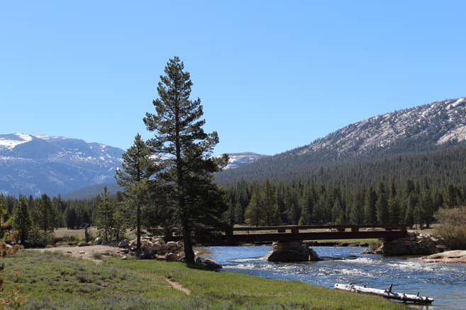 Architectural Harmony