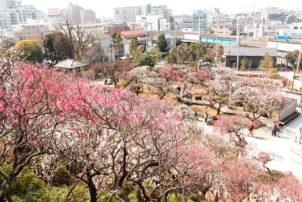 Ikegami Honmonji Temple Proximity
