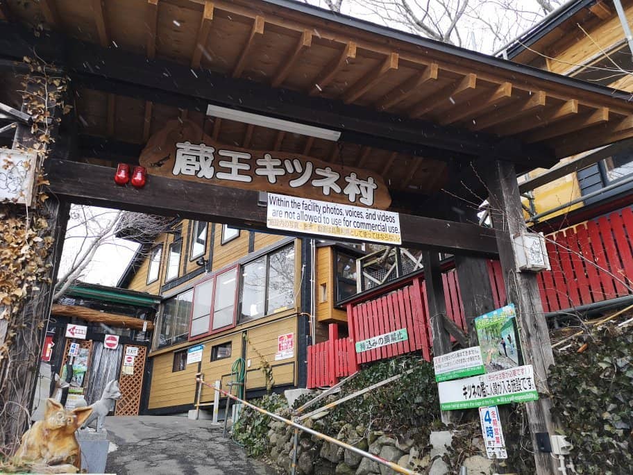 Fox Holding Experience