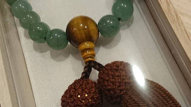 Moss-Covered Pathways