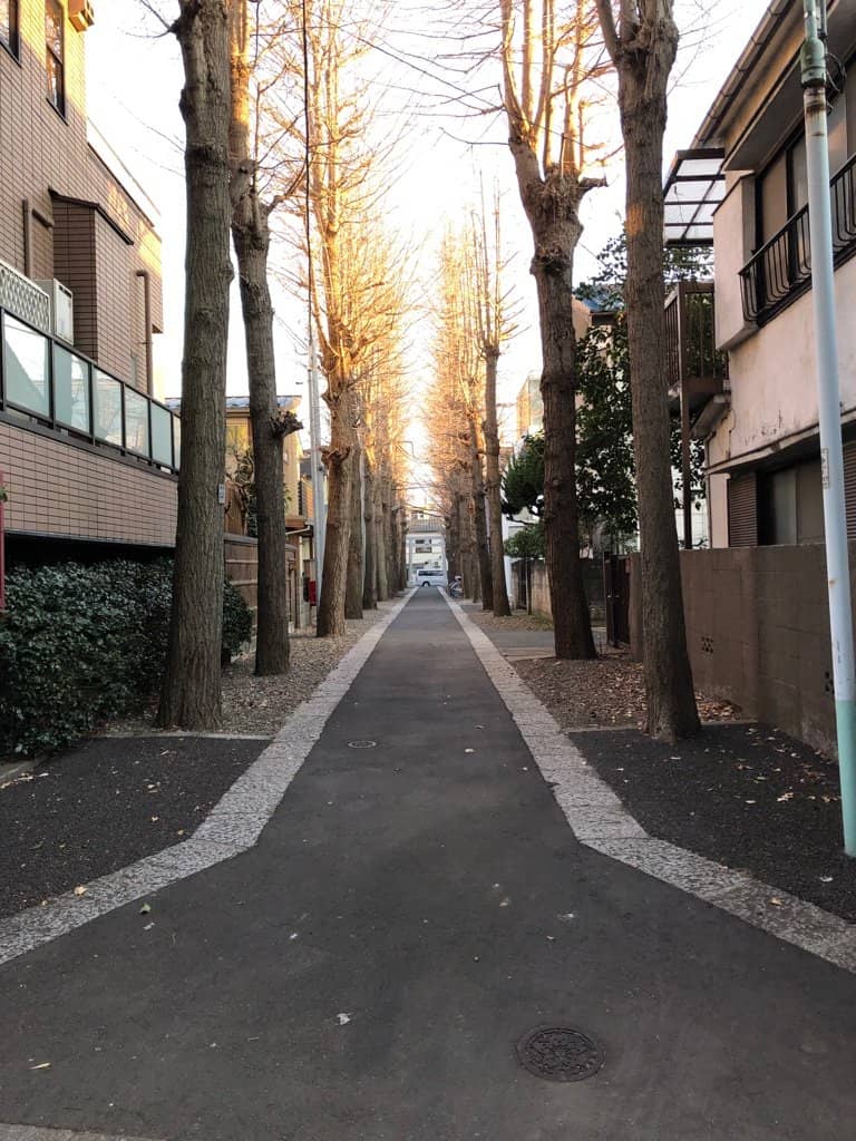 Children's Playground