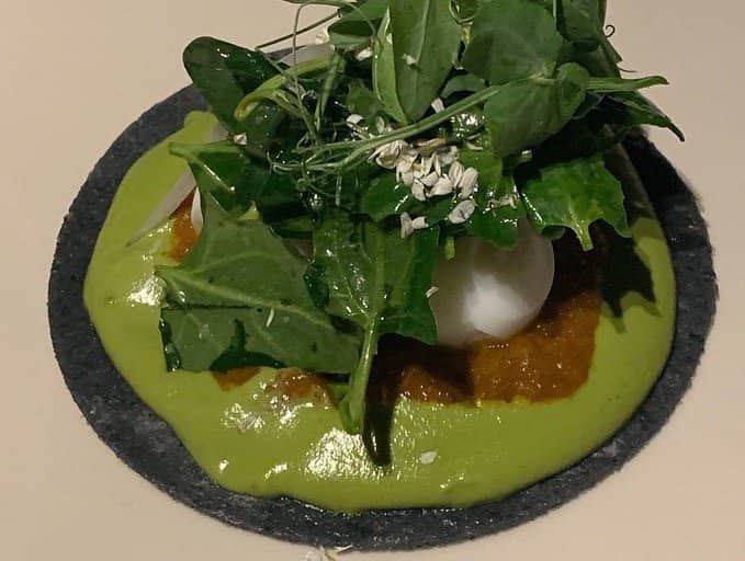 Taco Omakase Bar