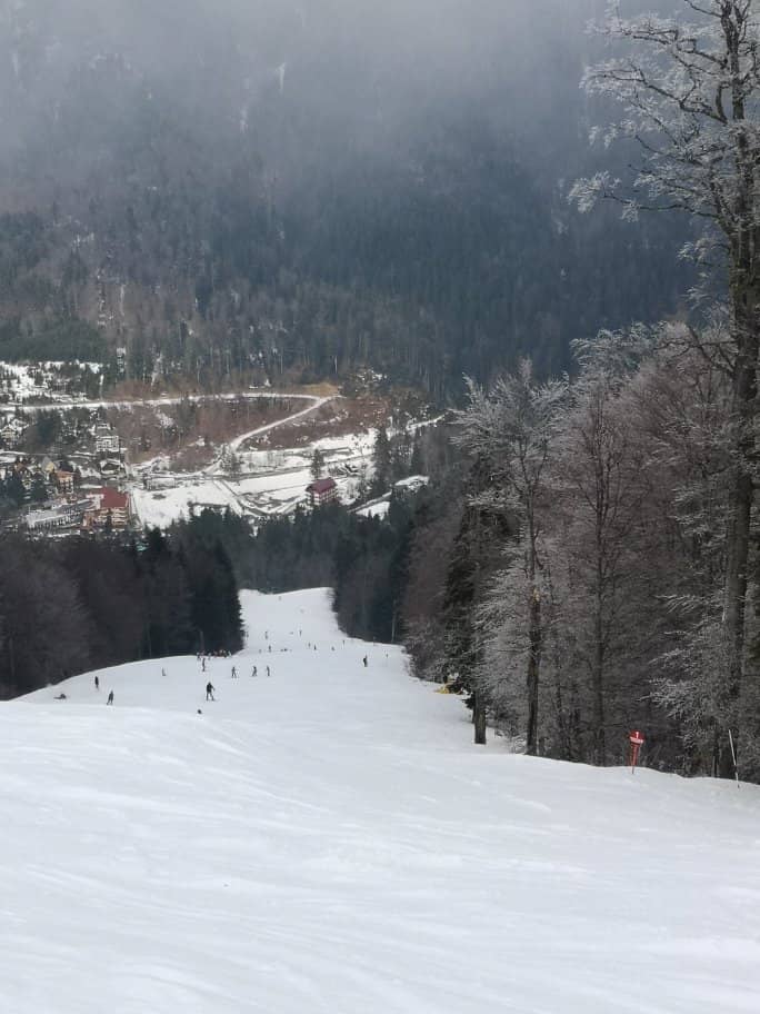 Bucegi Mountain Views