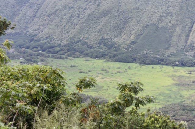 Waipio Valley Lookout